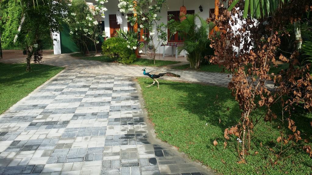 Tithira Guest House Мирисса Экстерьер фото